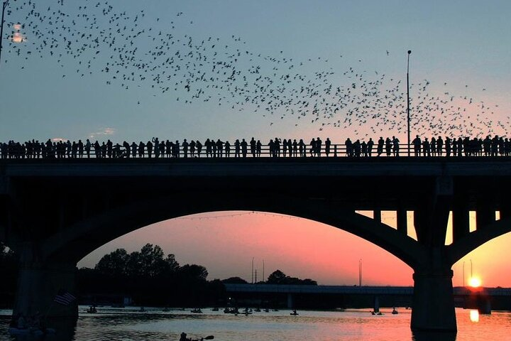 Guided Sunset Bat Kayak Tour in Austin - Photo 1 of 16